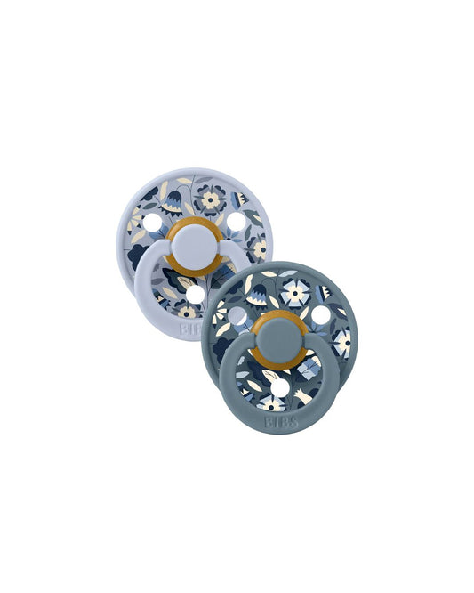 Sucettes pacifier Taille 1 lot de 2 - BIBS