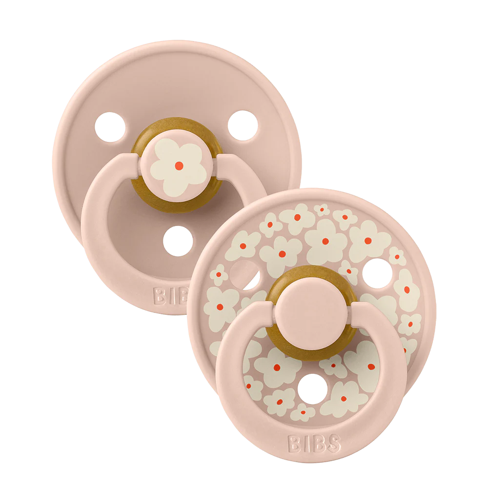 Sucettes pacifier Taille 1 lot de 2 - BIBS