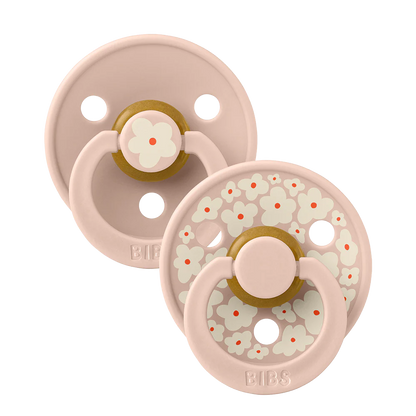 Sucettes pacifier Taille 1 lot de 2 - BIBS