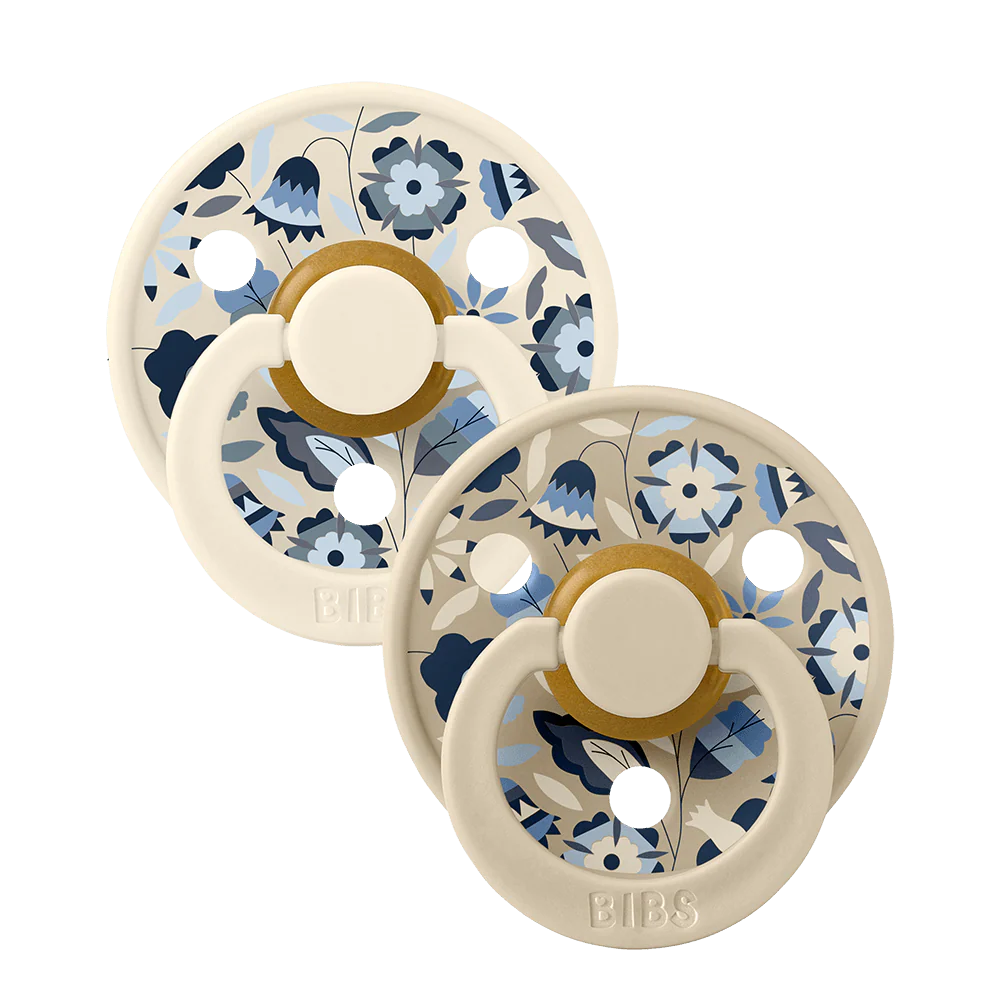 Sucettes pacifier Taille 1 lot de 2 - BIBS