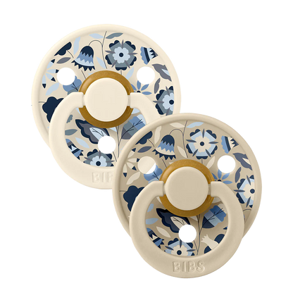 Sucettes pacifier Taille 1 lot de 2 - BIBS