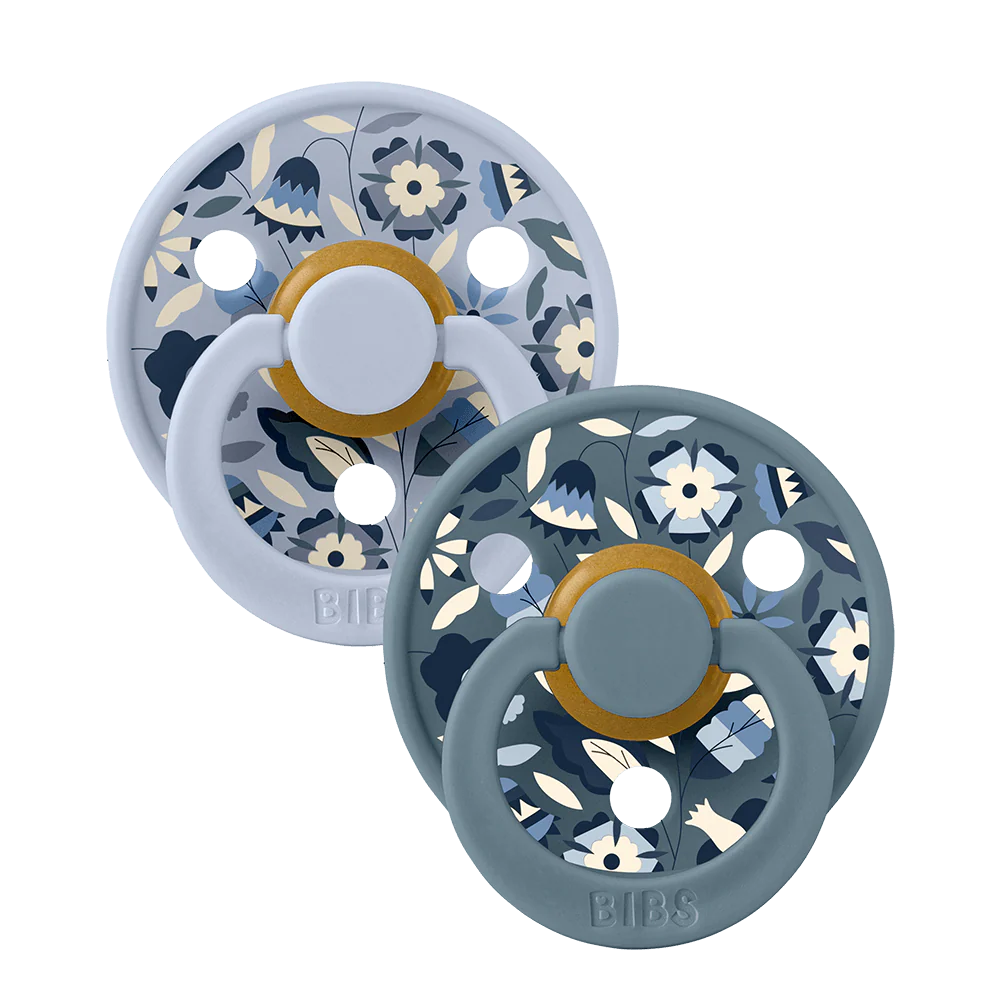 Sucettes pacifier Taille 2 lot de 2 - BIBS