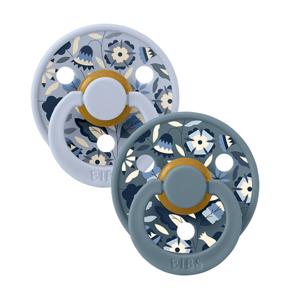 Sucettes pacifier Taille 2 lot de 2 - BIBS