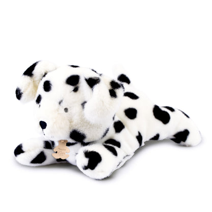 Dalmatien "Les p'tits relax" - HISTOIRE D'OURS