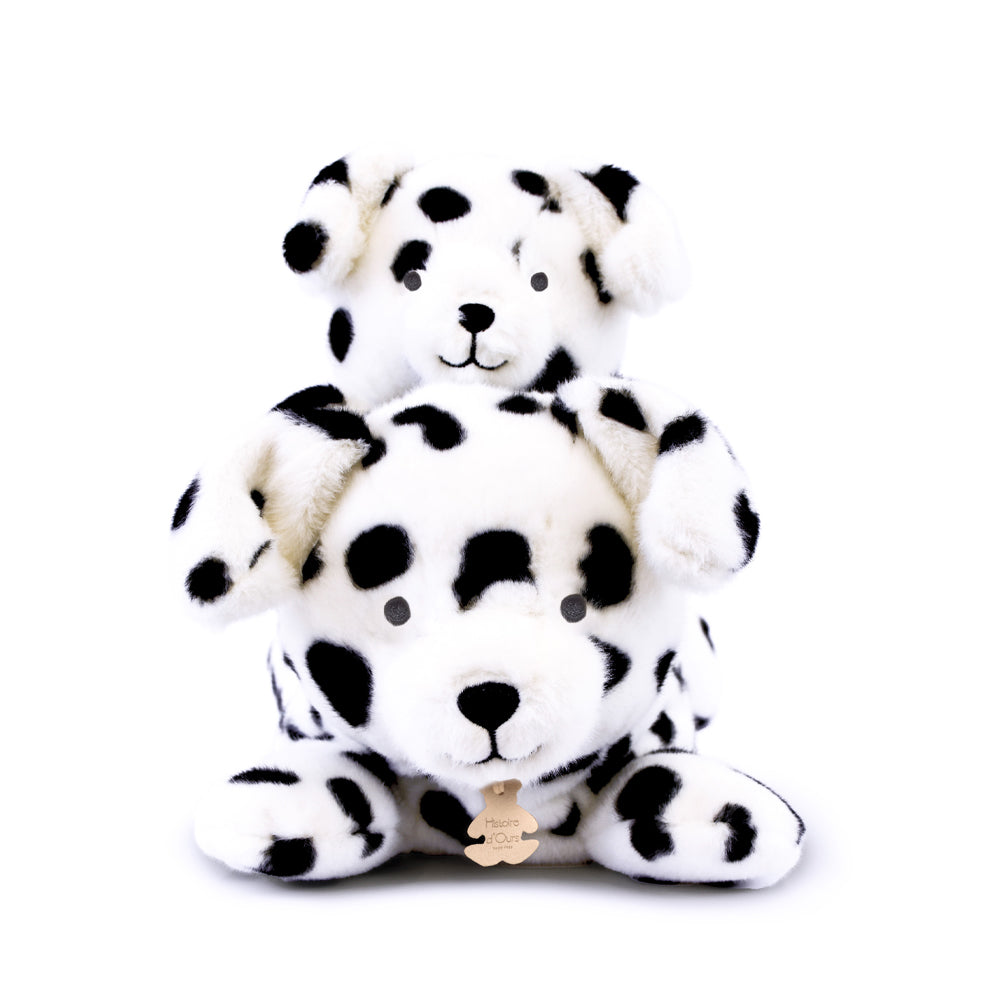 Dalmatien "Les p'tits relax" - HISTOIRE D'OURS