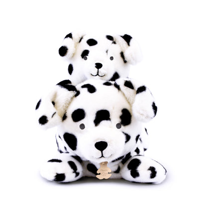 Dalmatien "Les p'tits relax" - HISTOIRE D'OURS