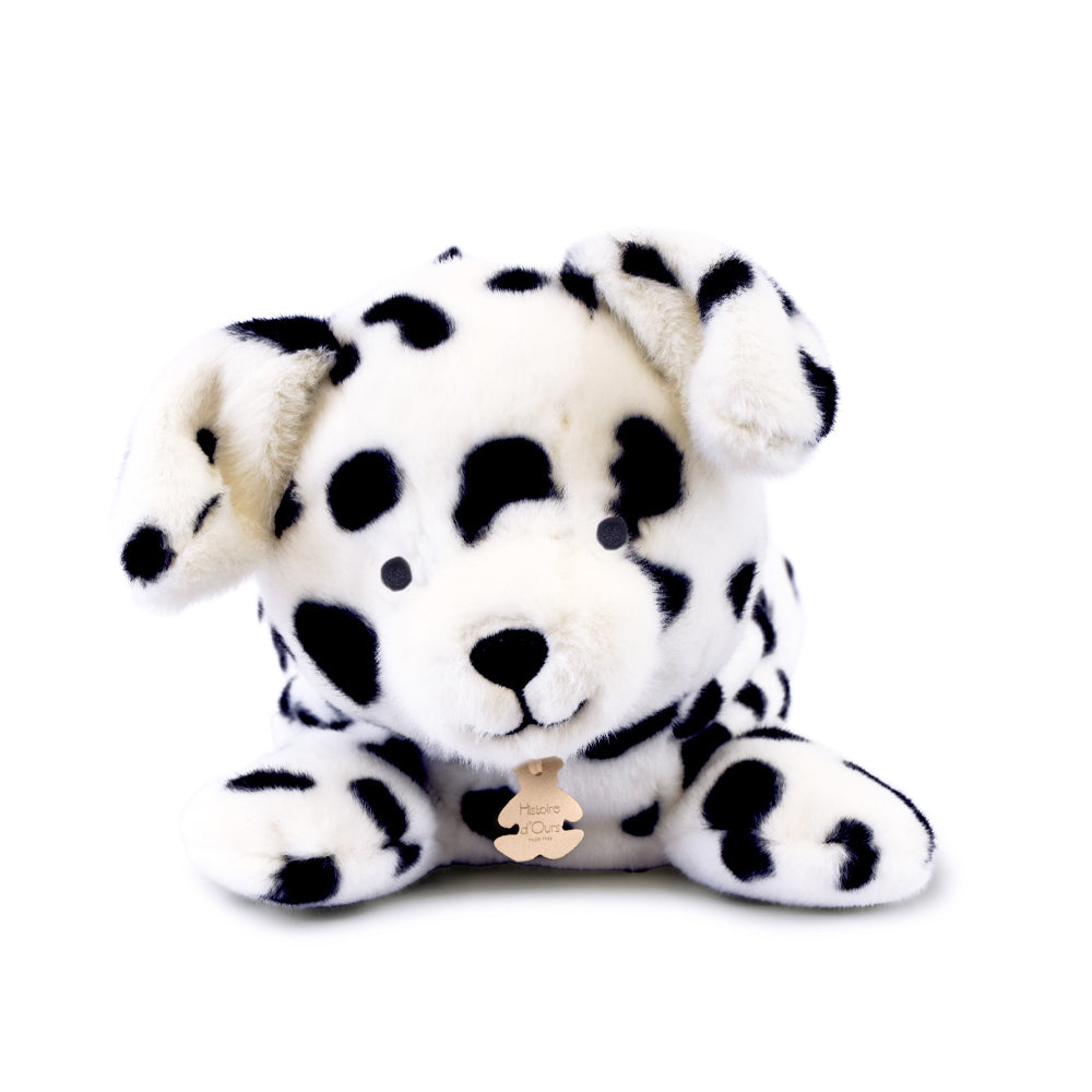 Dalmatien "Les p'tits relax" - HISTOIRE D'OURS