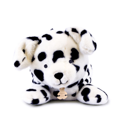 Dalmatien "Les p'tits relax" - HISTOIRE D'OURS