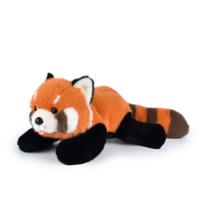 Panda Roux  - HISTOIRE D'OURS